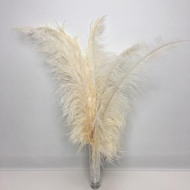 Cream Ostrich Feathers x 5 Florist Wedding and Craft Supplies