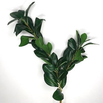 Green Hard Ruscus 72cm | Florist Wedding and Craft Supplies Ltd | Stoke ...