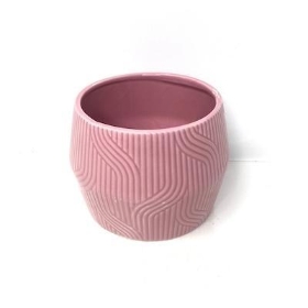 Coloured Pots Pink