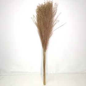 Dried Natural Feather Grass x 10 Stems