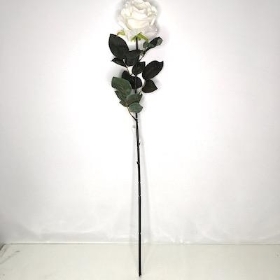 White Rose 84cm