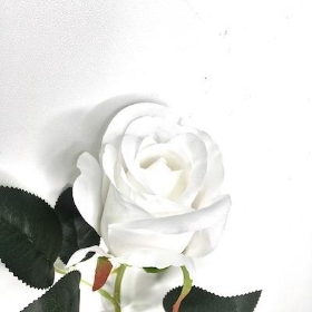 White Rose 52cm