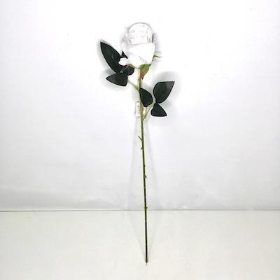 White Rose 52cm