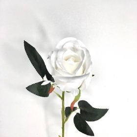 White Rose 52cm