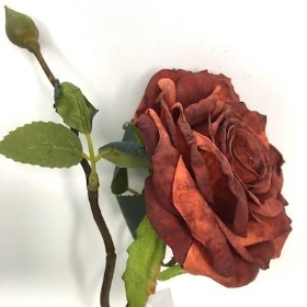 Russet Dried Rose 40cm