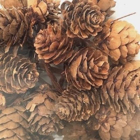 Natural Pinecones On Wire x 35