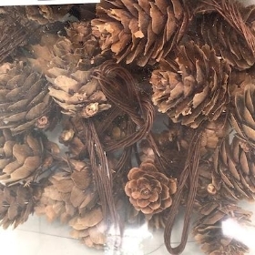 Natural Pinecones On Wire x 35