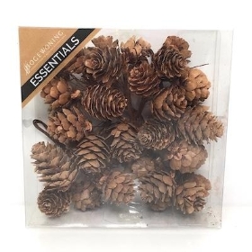 Natural Pinecones On Wire x 35