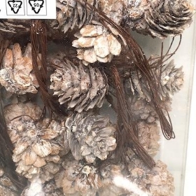 Frosted Pinecones On Wire x 35