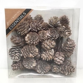 Frosted Pinecones On Wire x 35