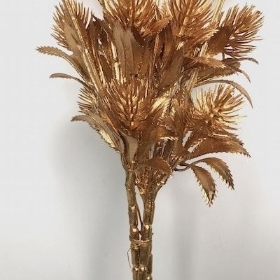 Gold Thistle 80cm x 3 Stems