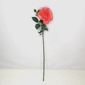 Coral Rose 64cm