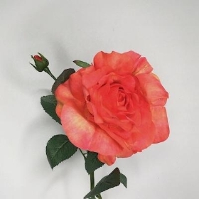 Coral Rose 64cm