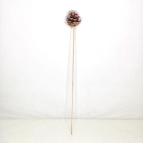 Natural Pinecone Pick x 25