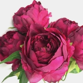 Deep Plum Peony Bush 44cm