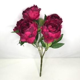 Deep Plum Peony Bush 44cm