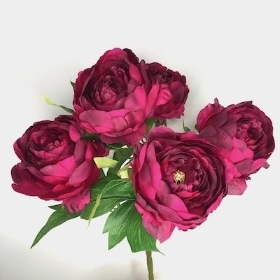 Deep Plum Peony Bush 44cm