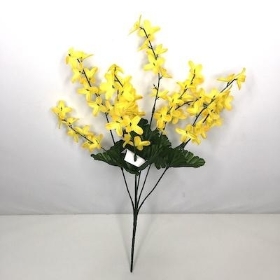 Yellow Forsythia Bush 40cm