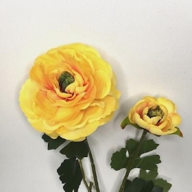 Yellow Ranunculus 48cm