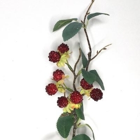 Mini Raspberry Stem 32cm