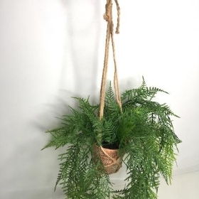 Green Hanging Fern In Pot 60cm