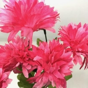 Pink Chrysanthemum Bush 32cm