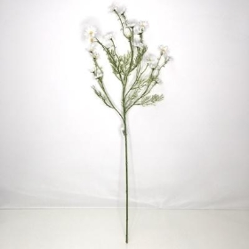 White Aster Daisy Spray 75cm