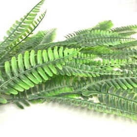 Green Frosted Trailing Fern 80cm