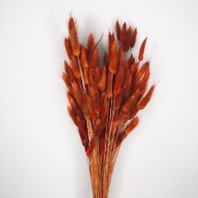Dried Burnt Orange Bunny Tails  55cm