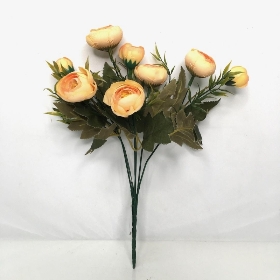 Pale Orange Ranunculus Bush 30cm