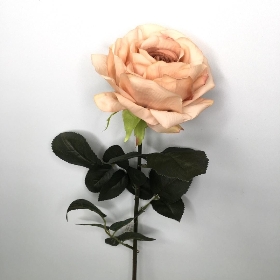 Peach Blush Rose 86cm