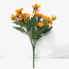 Orange Mini Daisy Bush 30cm