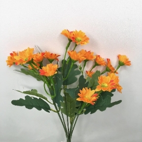 Orange Mini Daisy Bush 30cm