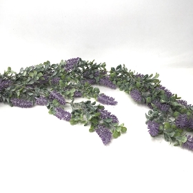 Trailing Lavender 100cm