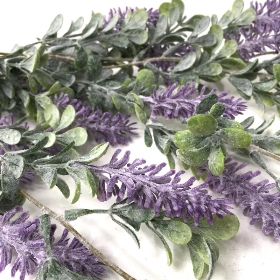 Trailing Lavender 100cm