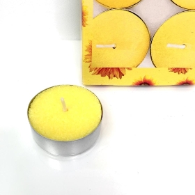 Citronella Tealight x 10