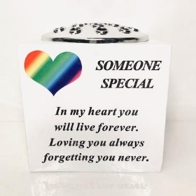 Someone Special Rainbow Pot 15cm