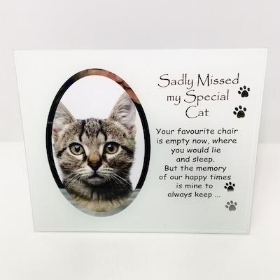Special Cat Memorial Frame