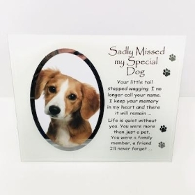 Special Dog Memorial Frame