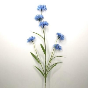 Pale Blue Cornflower 65cm