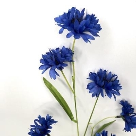 Royal Blue Cornflower 65cm