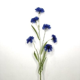 Royal Blue Cornflower 65cm