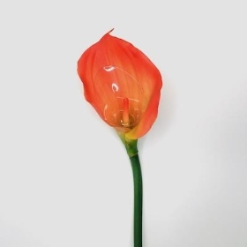 Orange Calla Lily 70cm