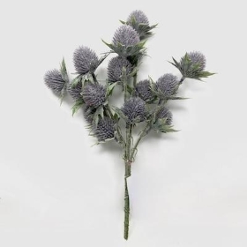 Blue Frosted Thistle Bush 30cm