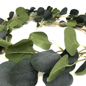 Eucalyptus Garland 80cm