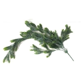 Frosted Trailing Rosemary 72cm