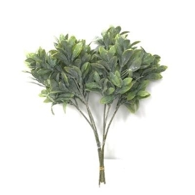 Green Frosted Bayleaf Bundle 36cm