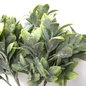 Green Frosted Bayleaf Bundle 36cm