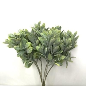 Green Frosted Bayleaf Bundle 36cm