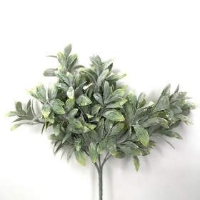 Green Frosted Bayleaf Stem 55cm